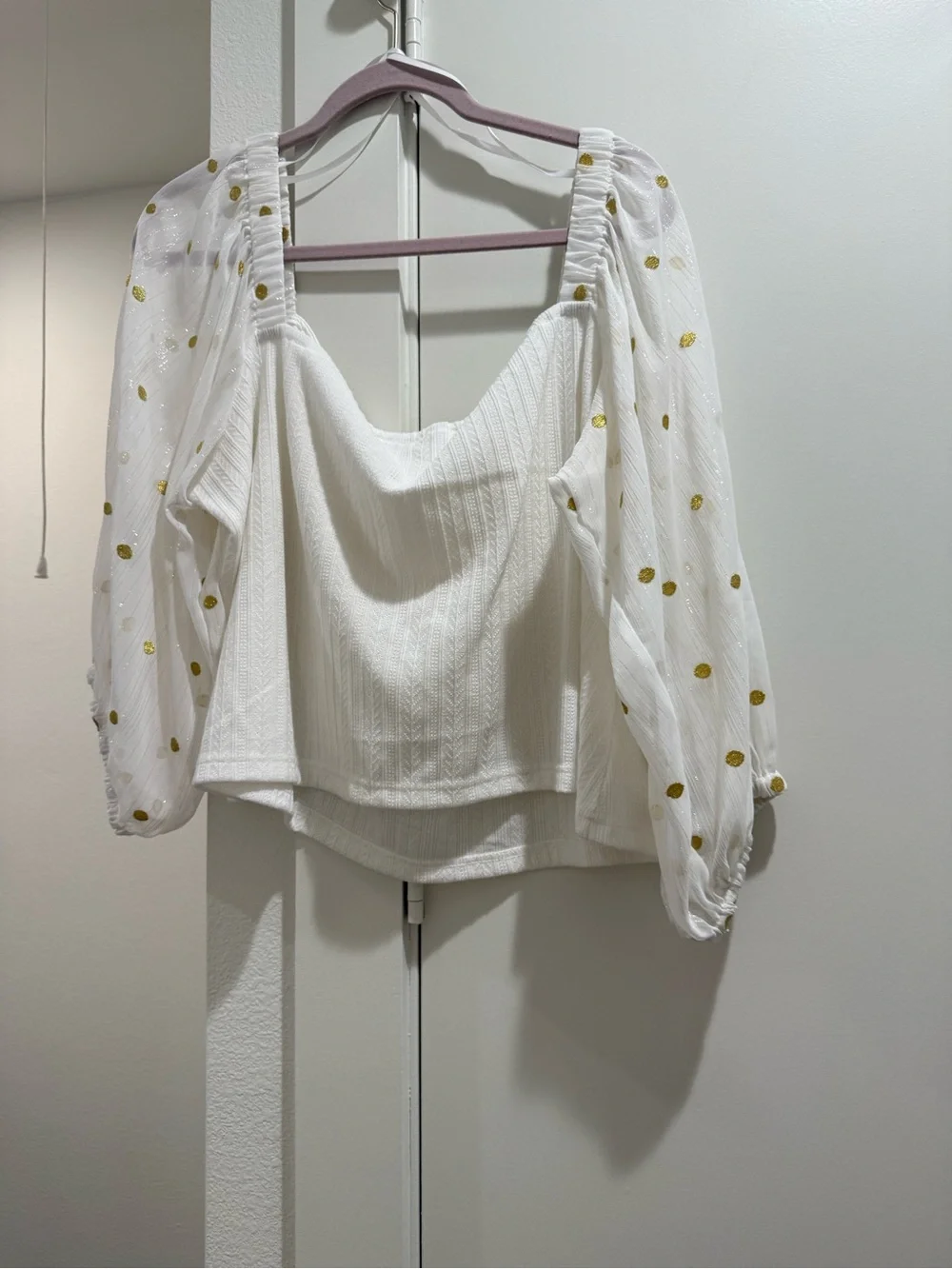 Hutch White Crop Top with Sheer Gold Dot Puff Sleeves - Picture 6 of 6